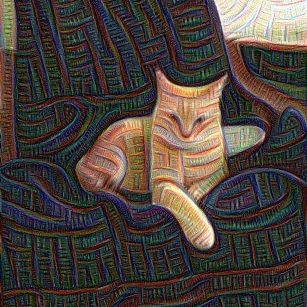 sorrykb.bsky.social's profile picture