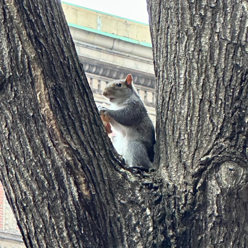 990000.bsky.social's profile picture