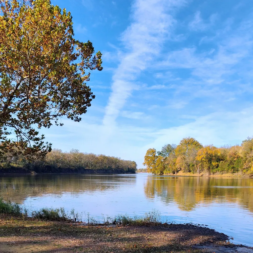 mstoodley.bsky.social's profile picture