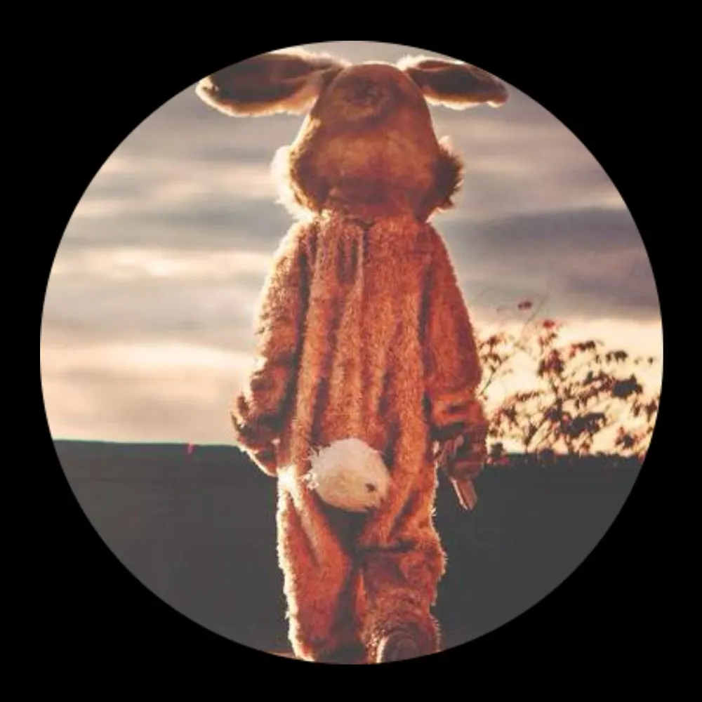 ladedada.bsky.social's profile picture