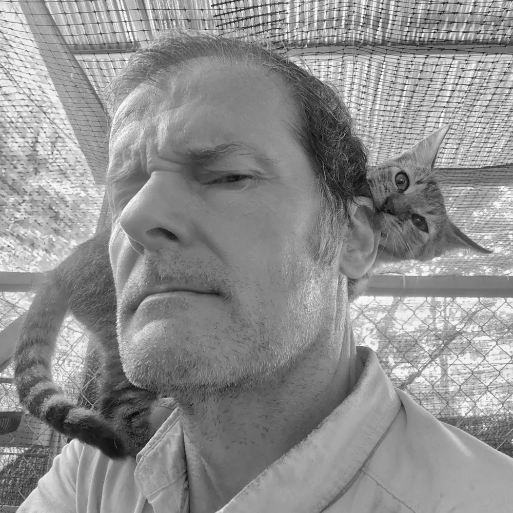 nick-pettigrew.bsky.social's profile picture