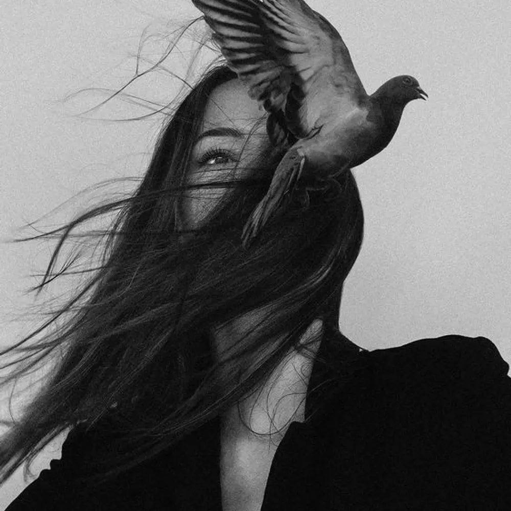 venezziab.bsky.social's profile picture