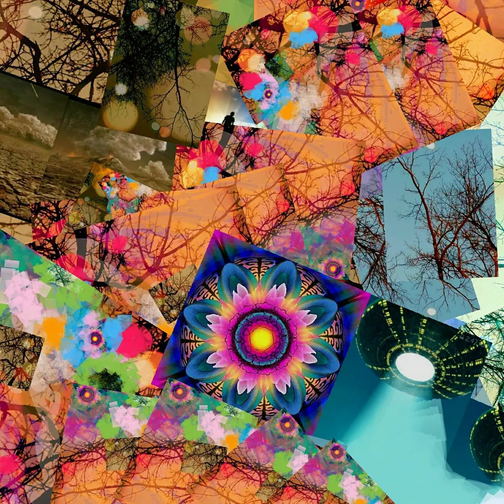 sharona3399.bsky.social's profile picture