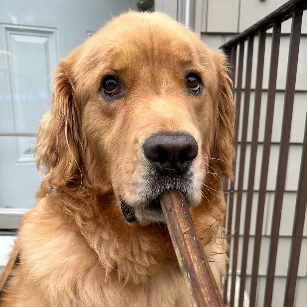 sadsackofsuds.bsky.social's profile picture