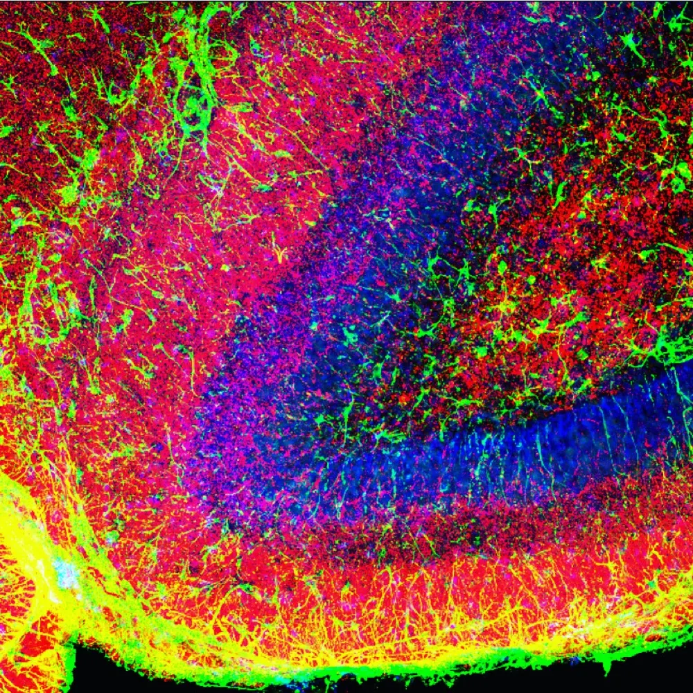 polymathguy.bsky.social's profile picture