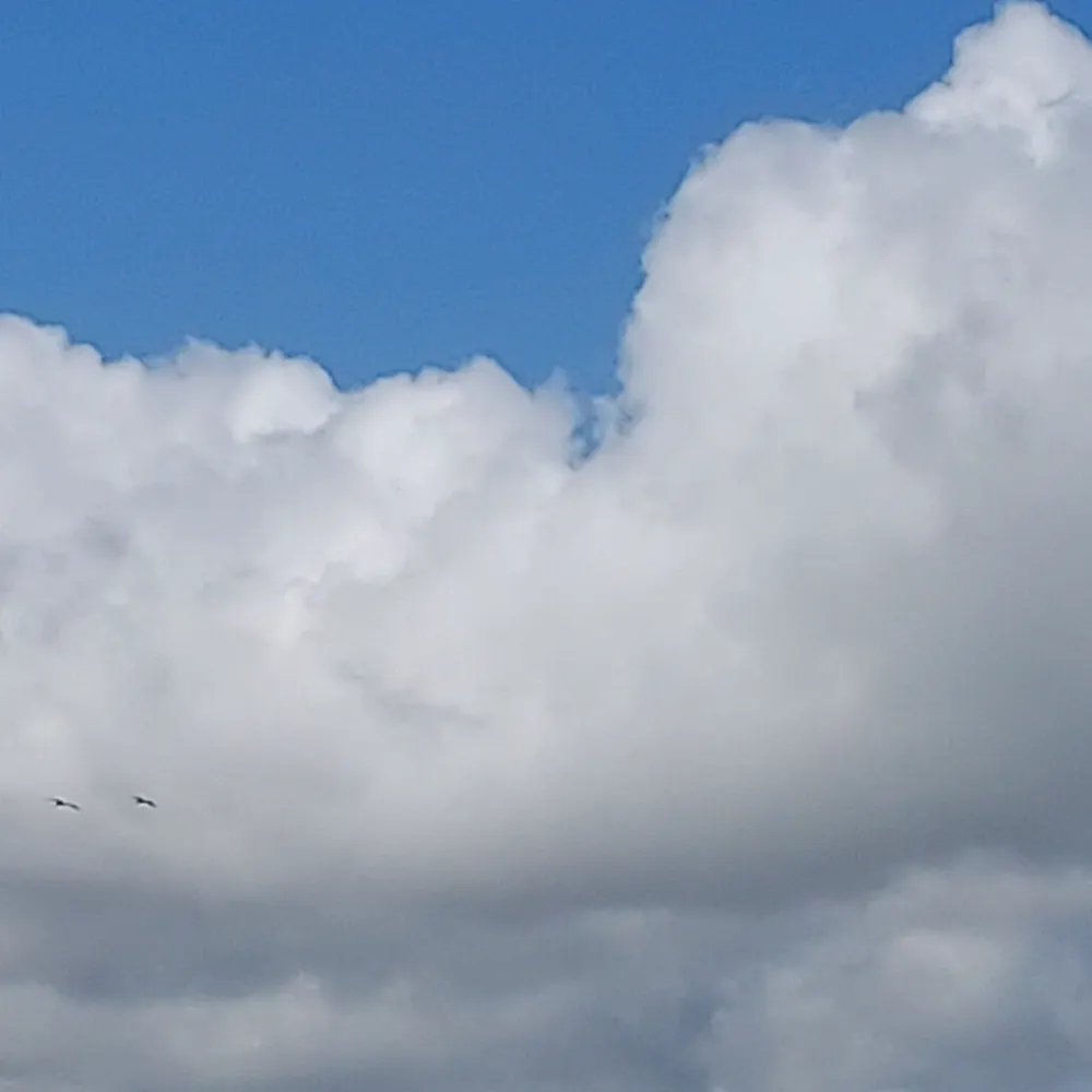 mledoux.bsky.social's profile picture