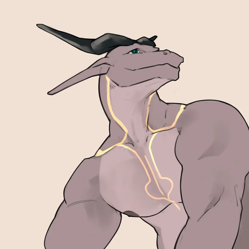 n0us.bsky.social's profile picture