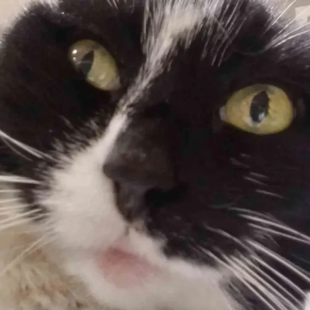 juicedropsrevenge.bsky.social's profile picture