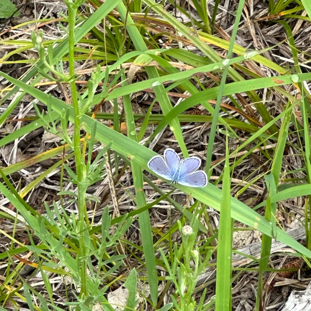 bethrhylton.bsky.social's profile picture