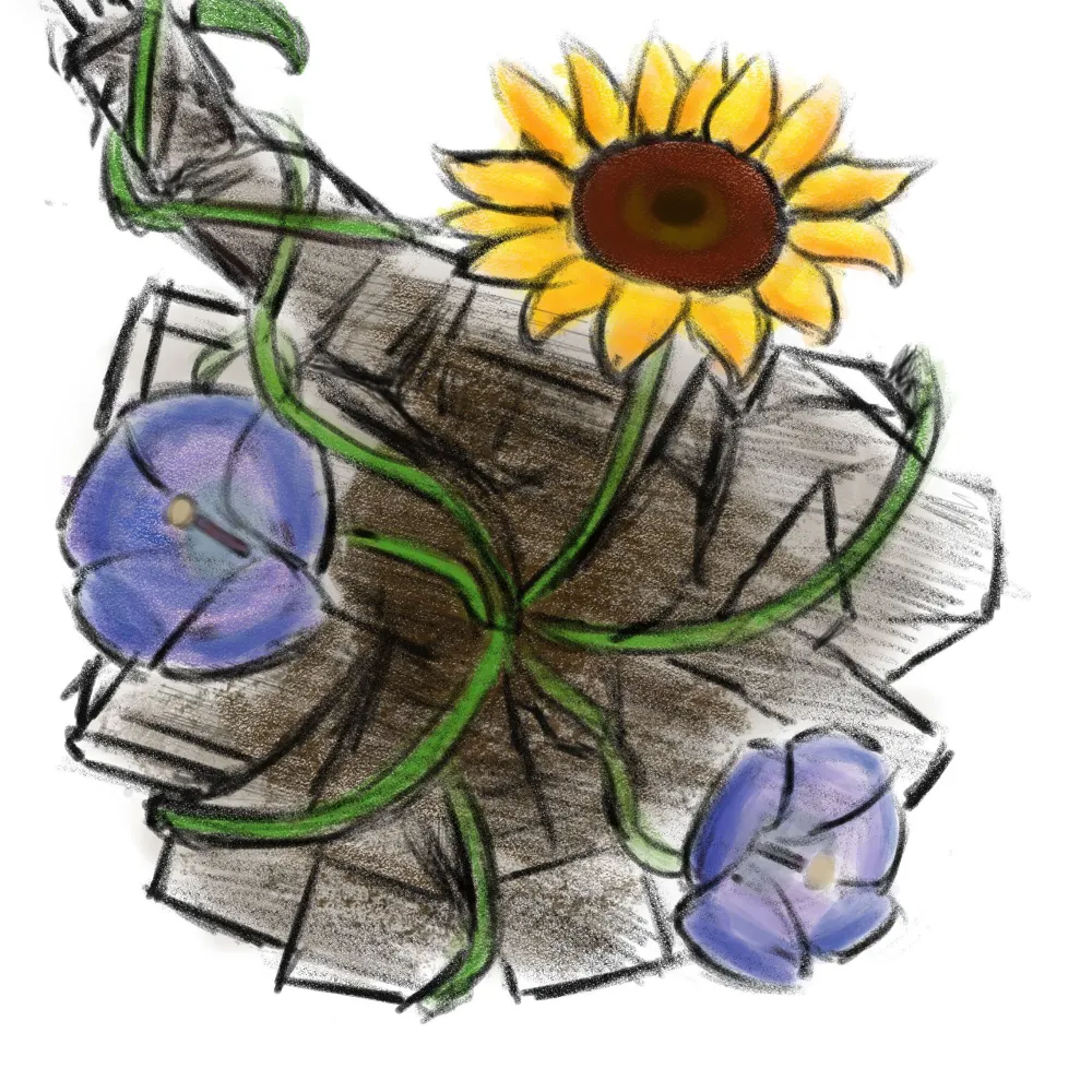 hiraku536.bsky.social's profile picture