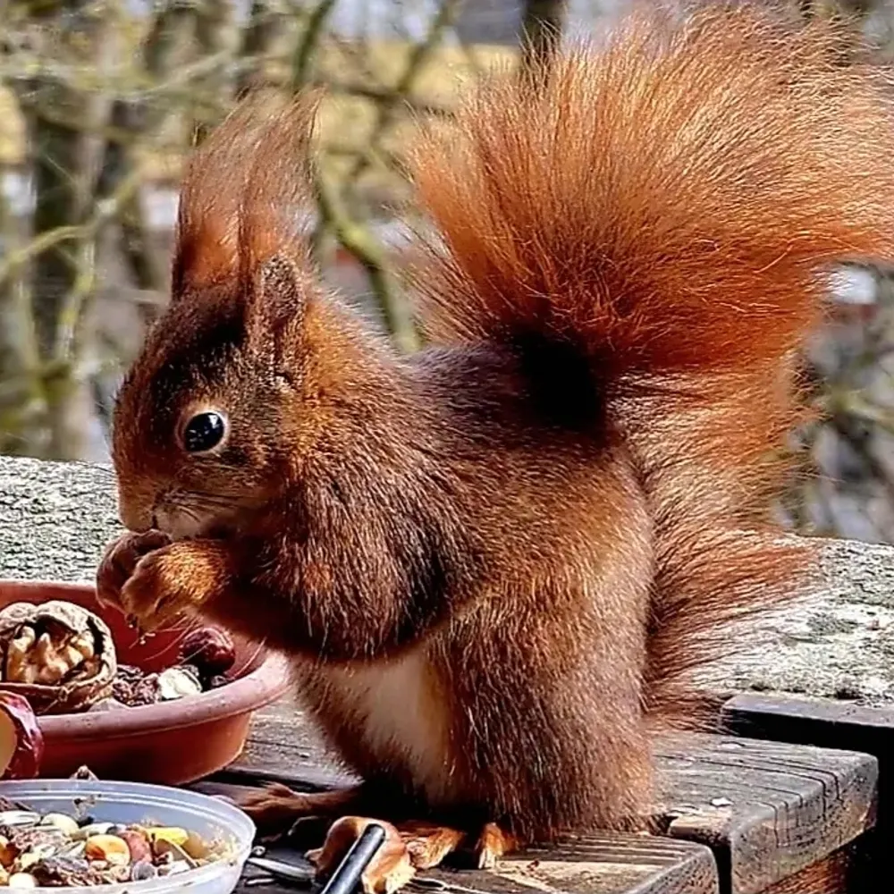 una04.bsky.social's profile picture