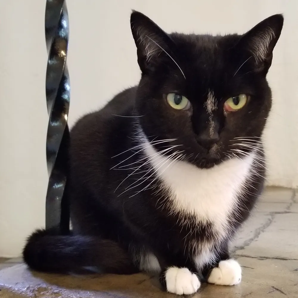 dr-ohm.bsky.social's profile picture