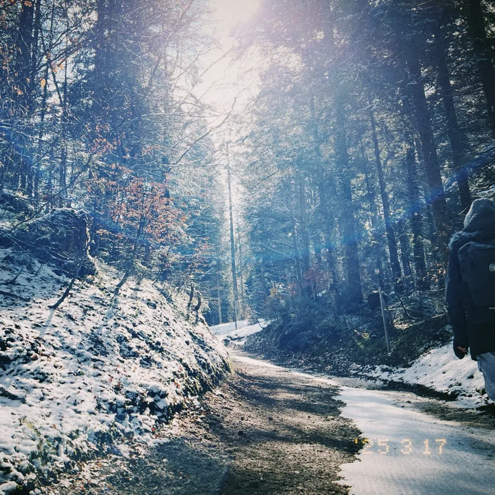 tangleworm.bsky.social's profile picture