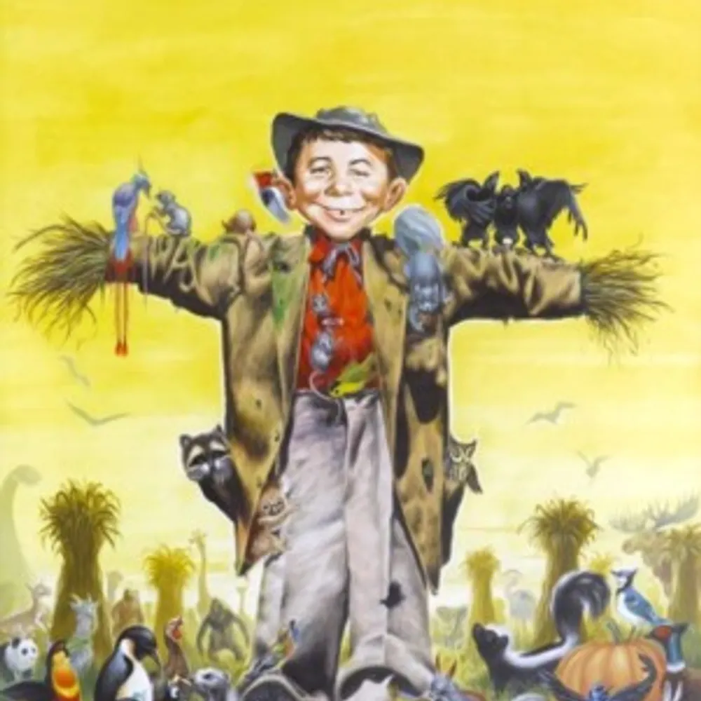 captspotty.bsky.social's profile picture