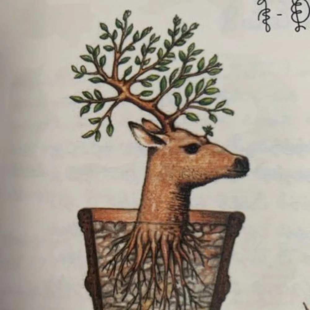 erikhane.bsky.social's profile picture