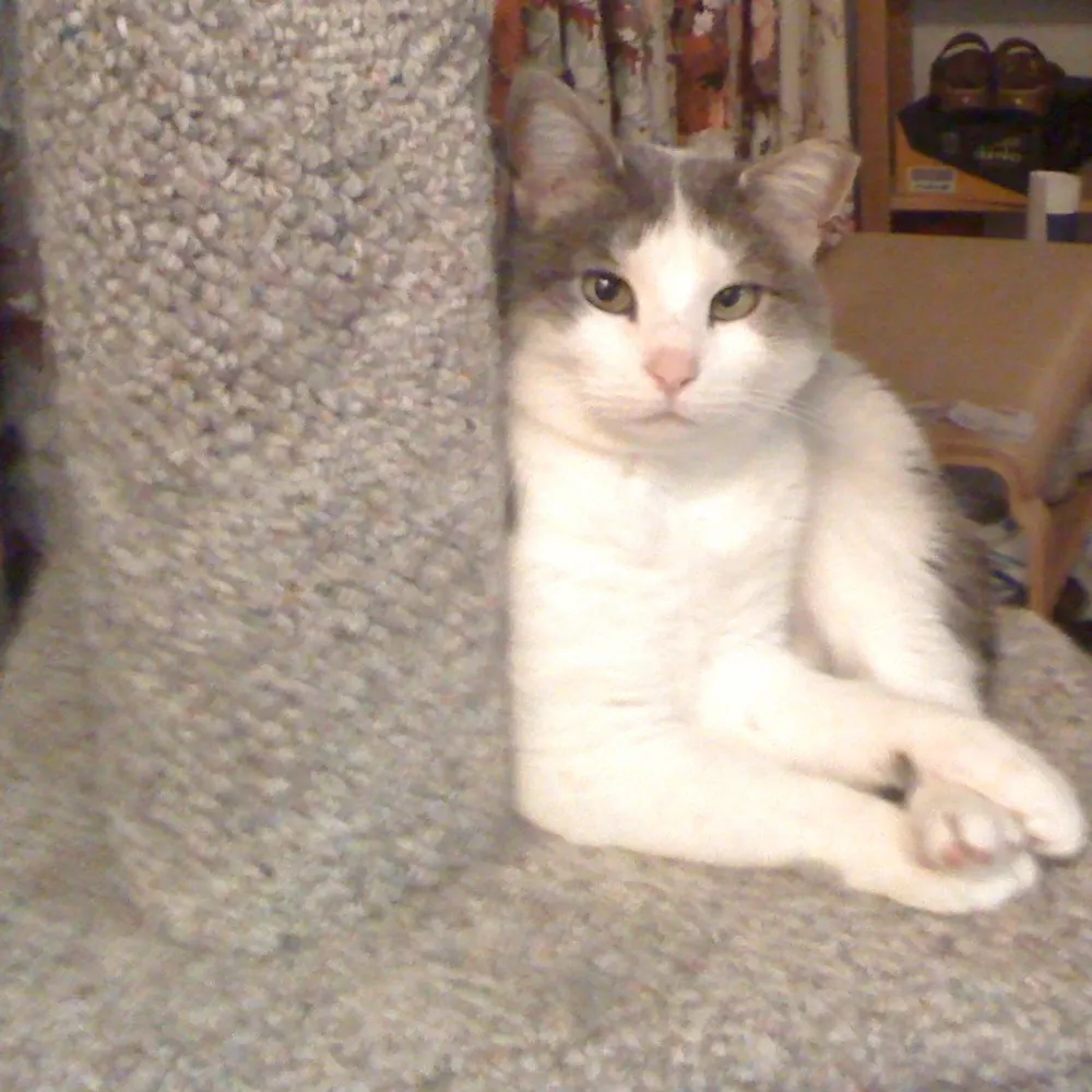 uschimy.bsky.social's profile picture