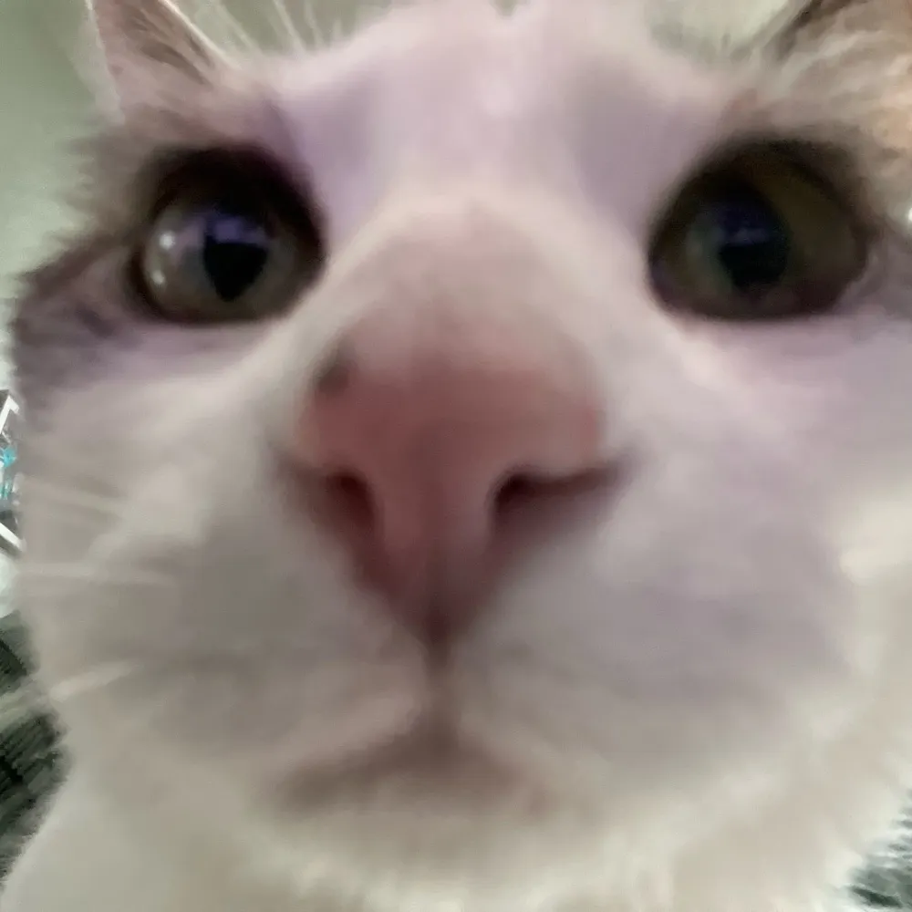 ugh-humans.bsky.social's profile picture