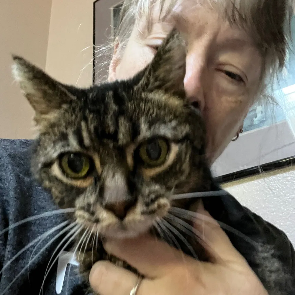 catmama58.bsky.social's profile picture