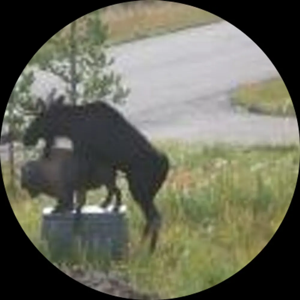 rickincanadia.bsky.social's profile picture