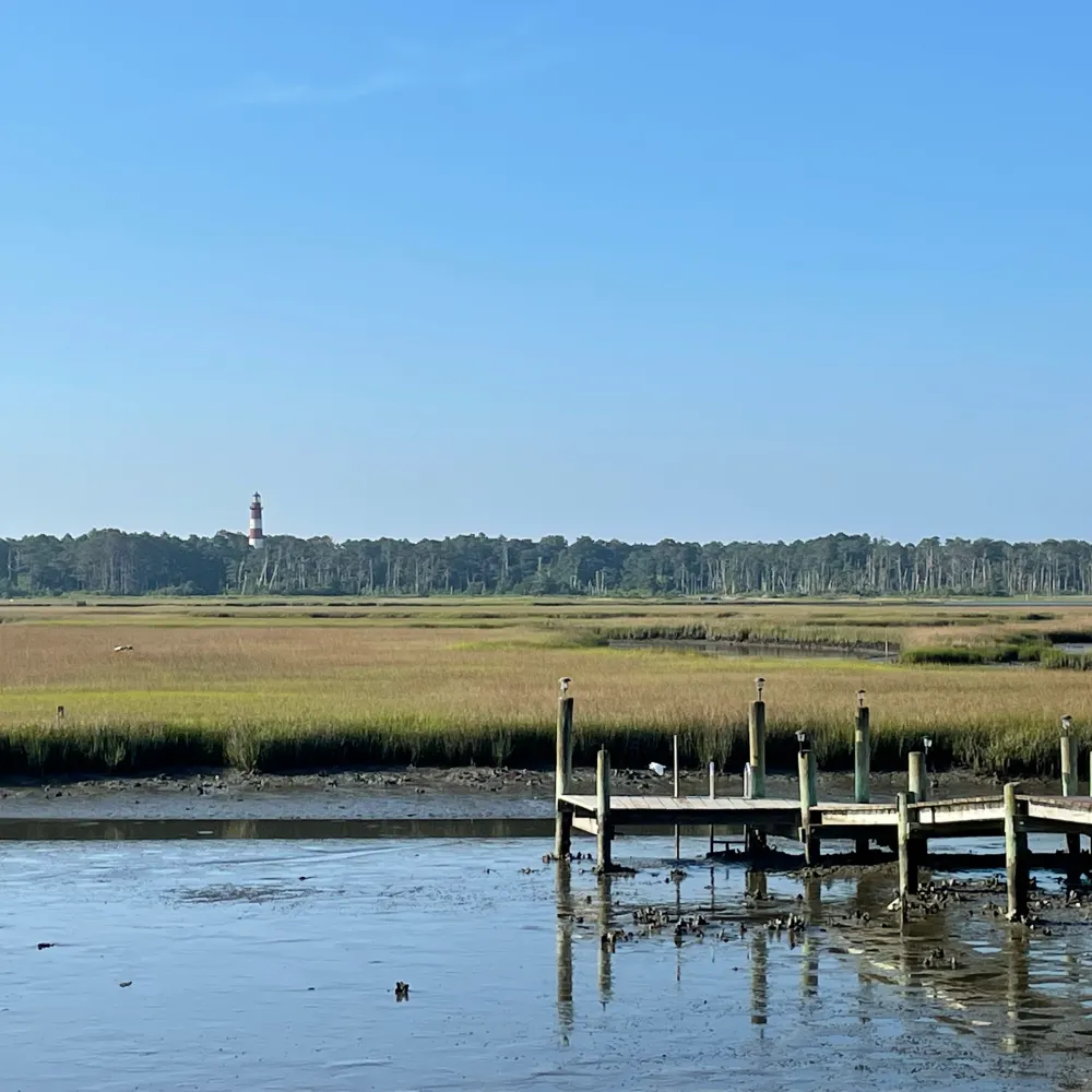 read4truth.bsky.social's profile picture