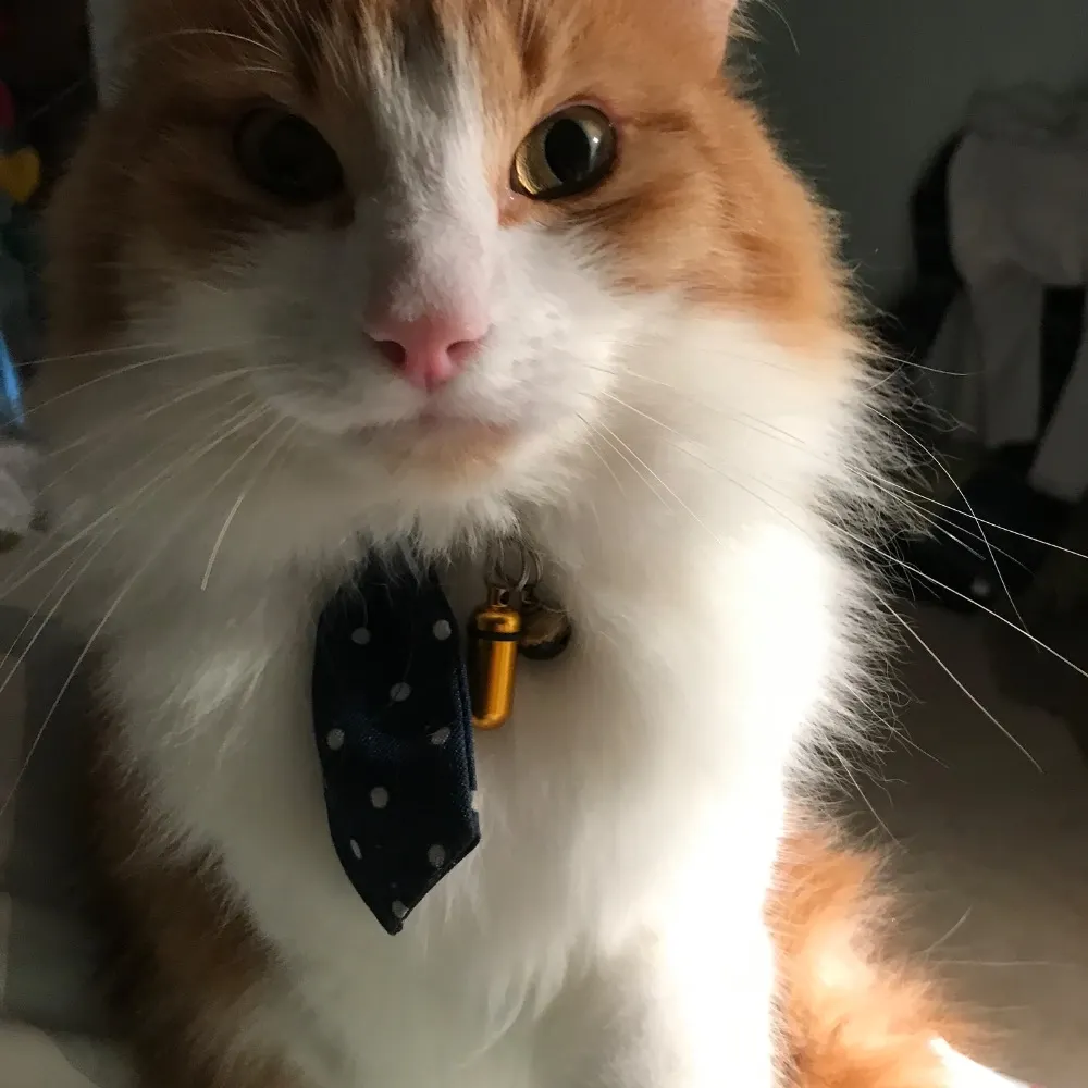 thebookwasbetter44.bsky.social's profile picture