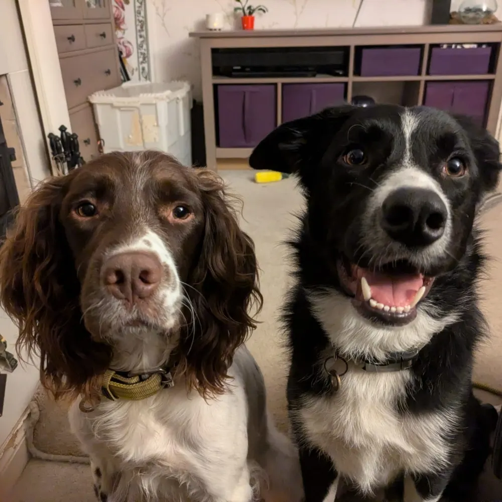 sassysquish.bsky.social's profile picture