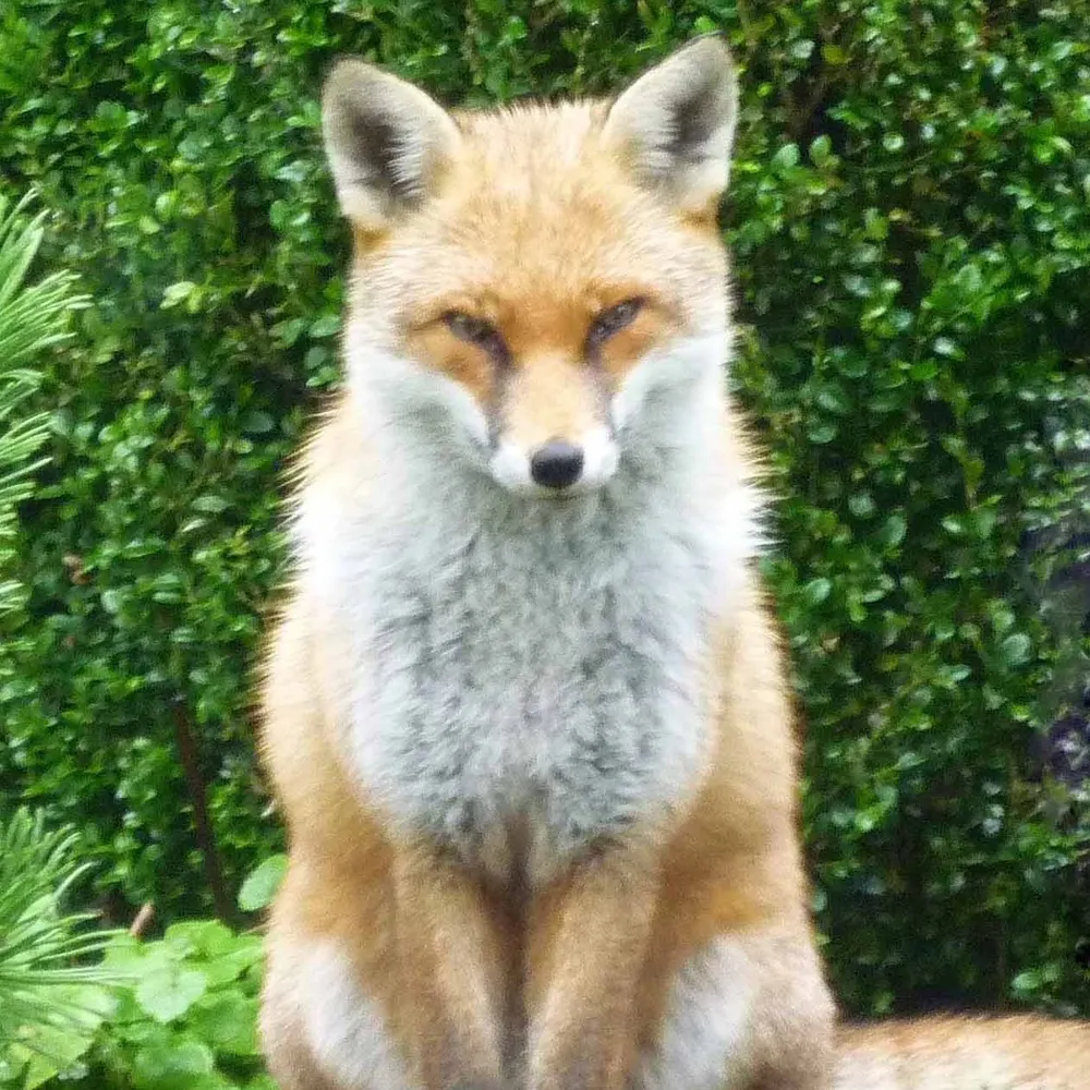 barbaracooney.bsky.social's profile picture