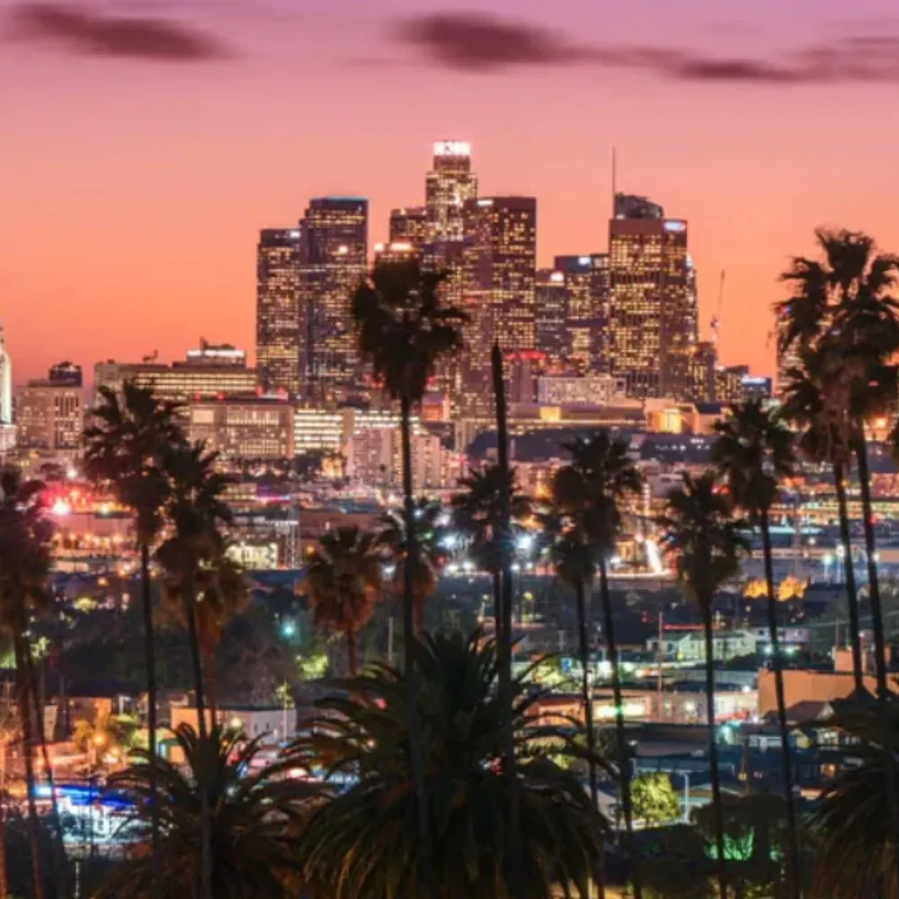 lizinreallife.bsky.social's profile picture