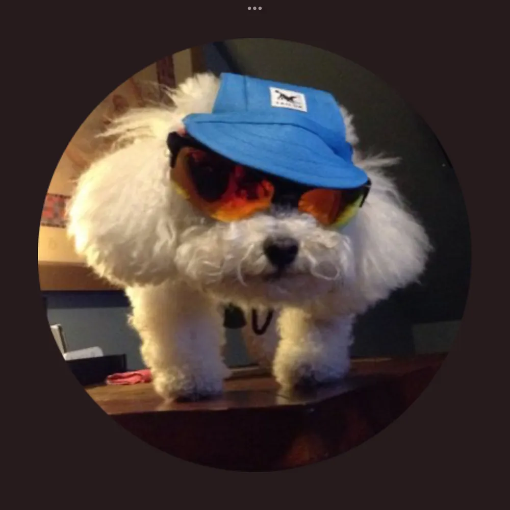 bhold353.bsky.social's profile picture