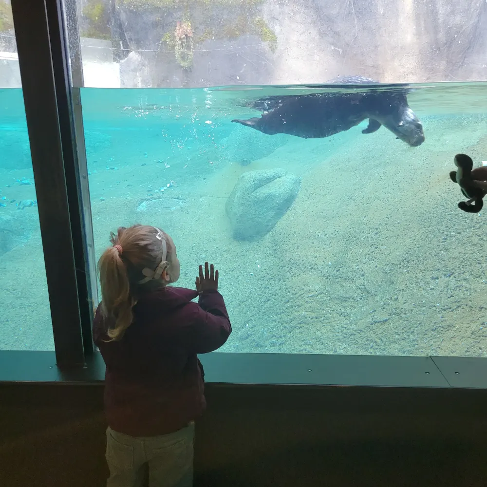 caliwash83.bsky.social's profile picture