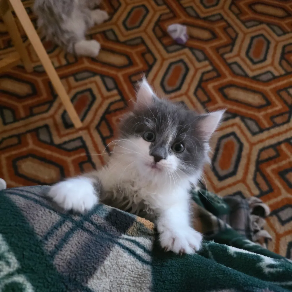 joakie22.bsky.social's profile picture