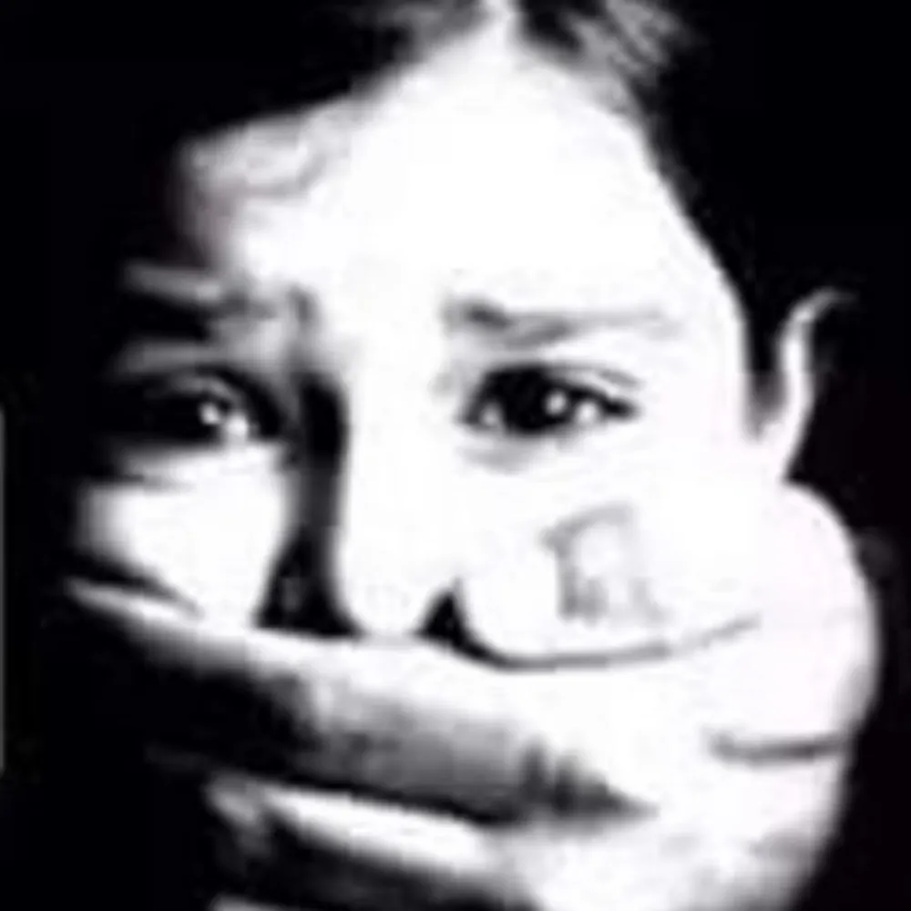 rogueresistknitter.bsky.social's profile picture