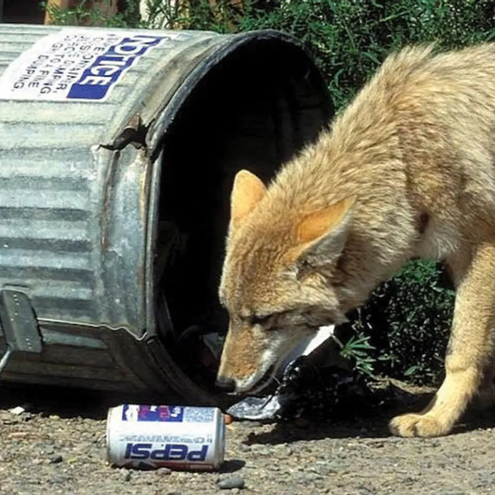 bootjack.bsky.social's profile picture