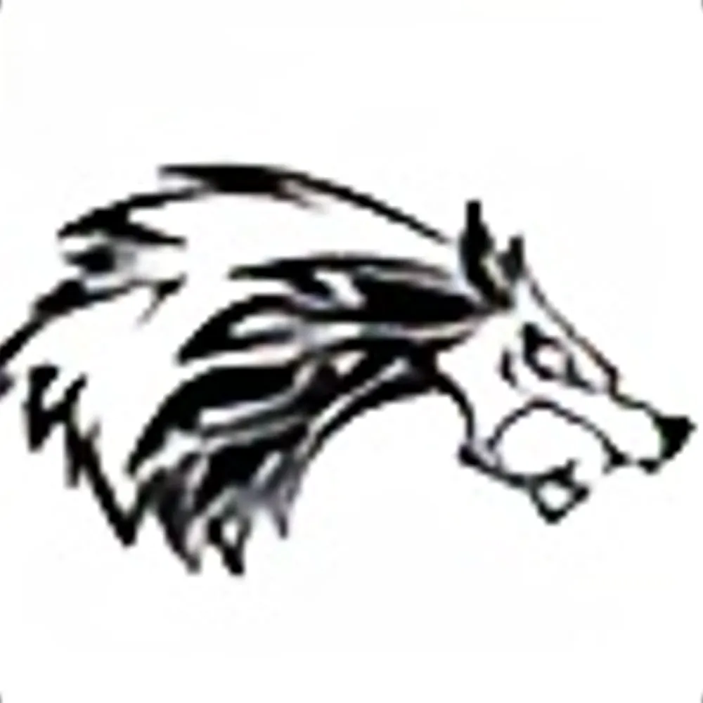 zigwolf.bsky.social's profile picture