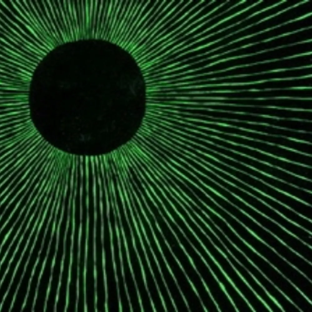 orlok3d.bsky.social's profile picture