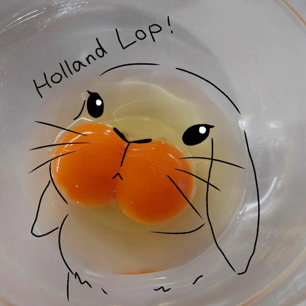 tokiusagi0506.bsky.social's profile picture