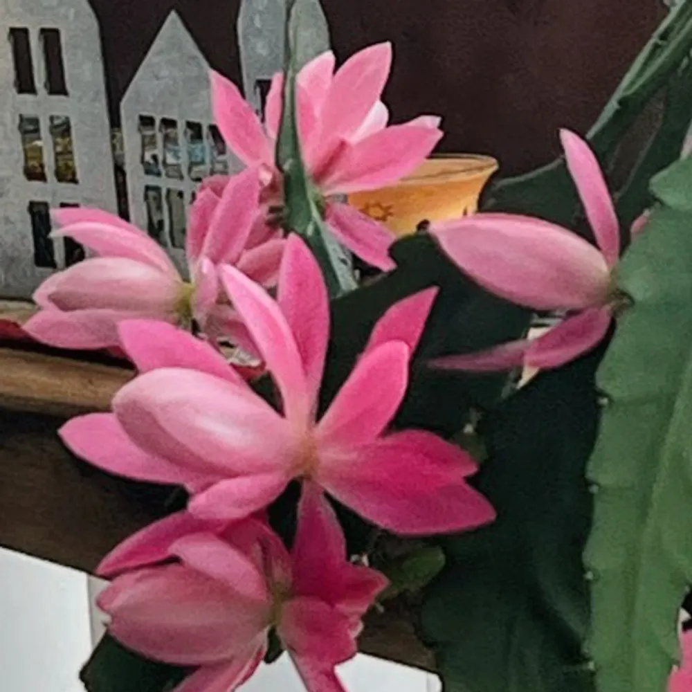 marblebuck.bsky.social's profile picture