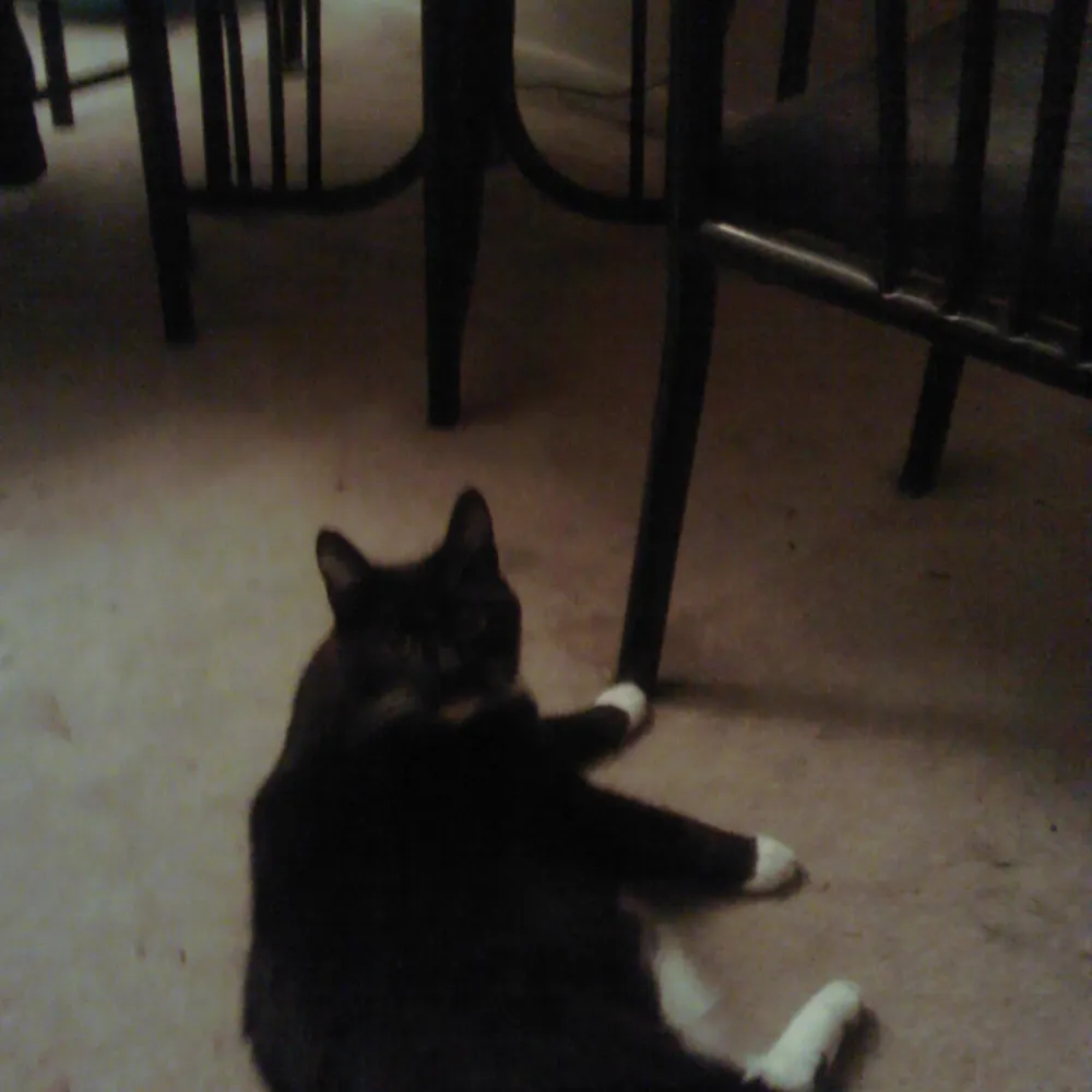 kimberleey.bsky.social's profile picture