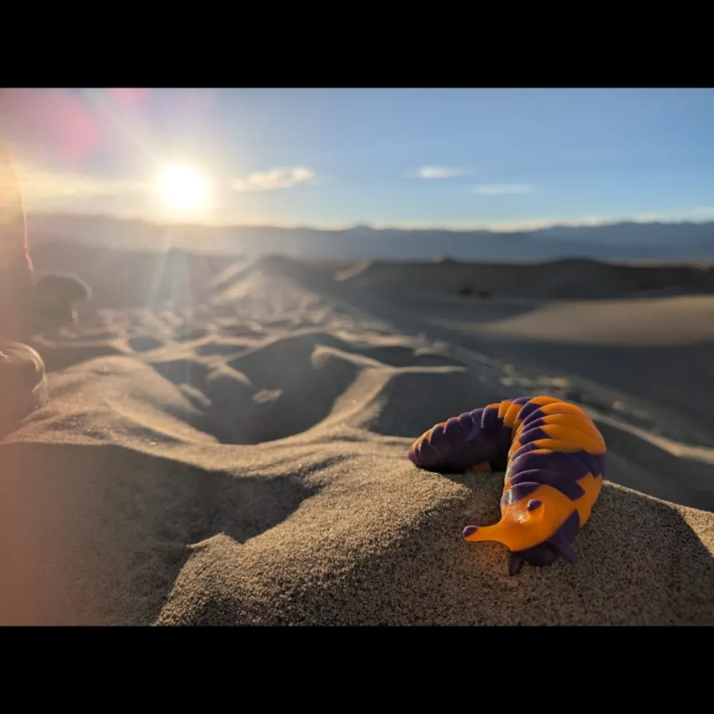 glowglobe.bsky.social's profile picture