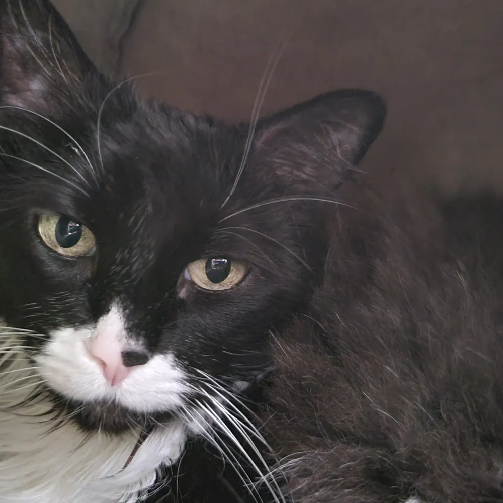 skinnygrunt.bsky.social's profile picture