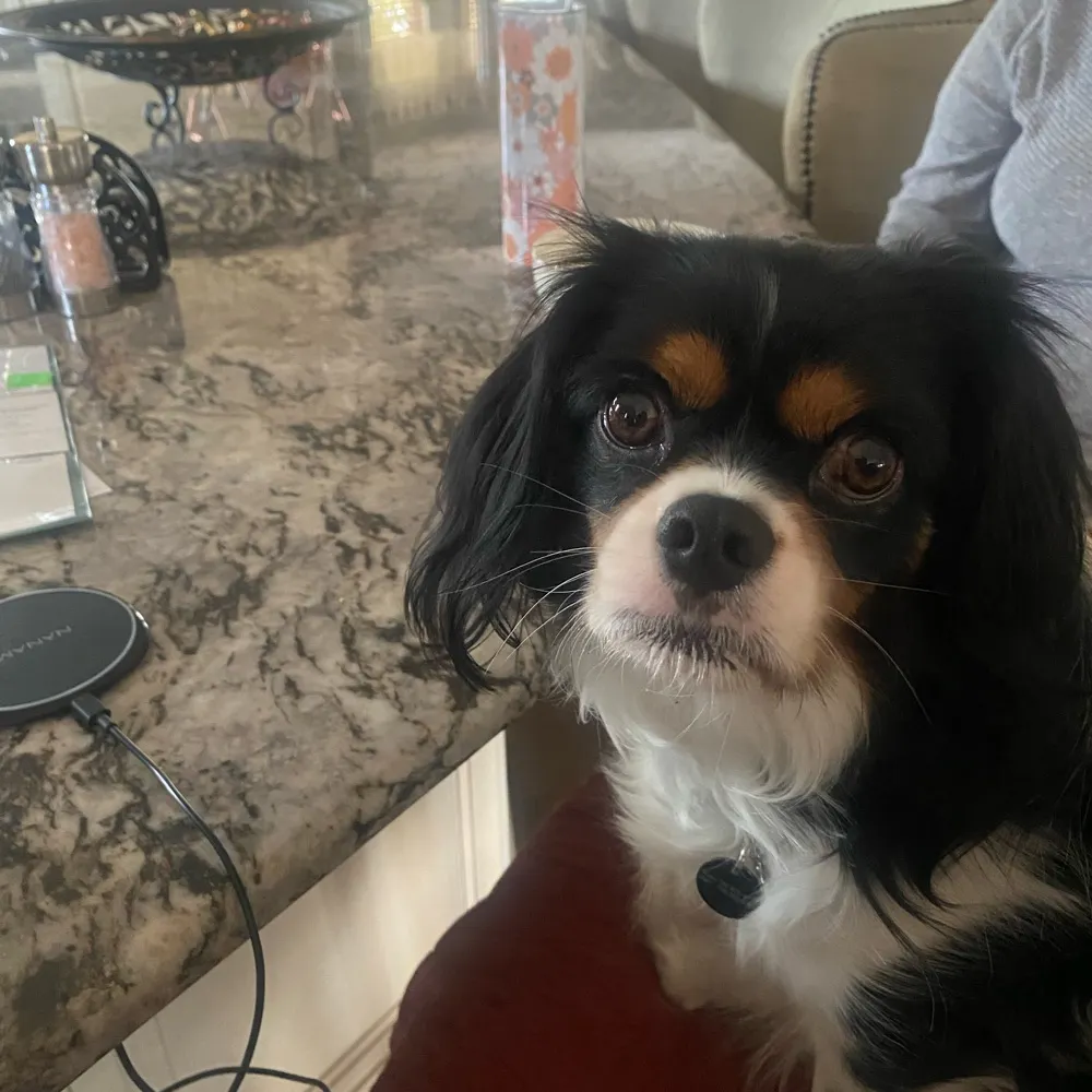 cruisingalong.bsky.social's profile picture