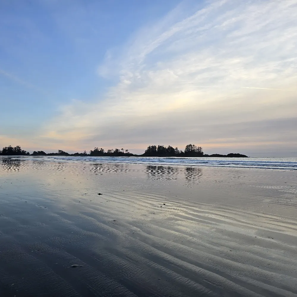 derdeh.bsky.social's profile picture