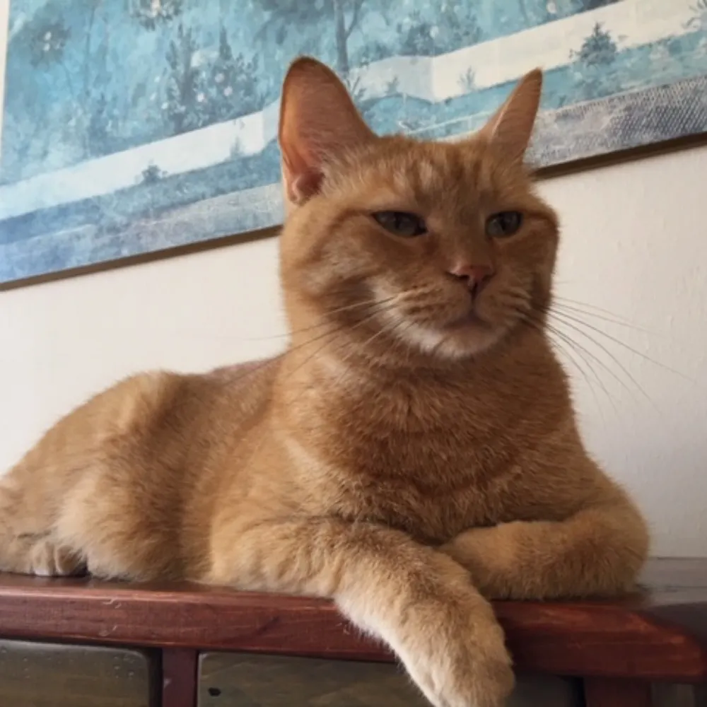 maggiemarbles.bsky.social's profile picture