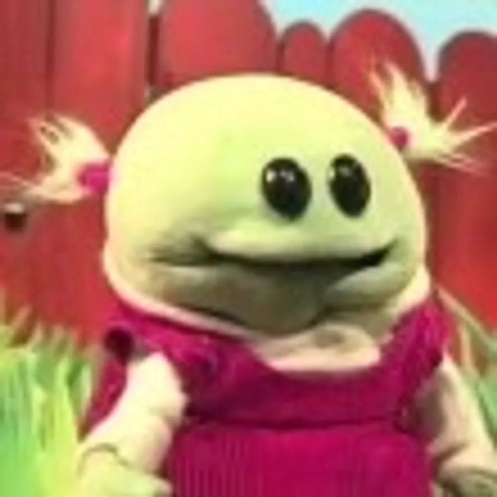 rpb725.bsky.social's profile picture