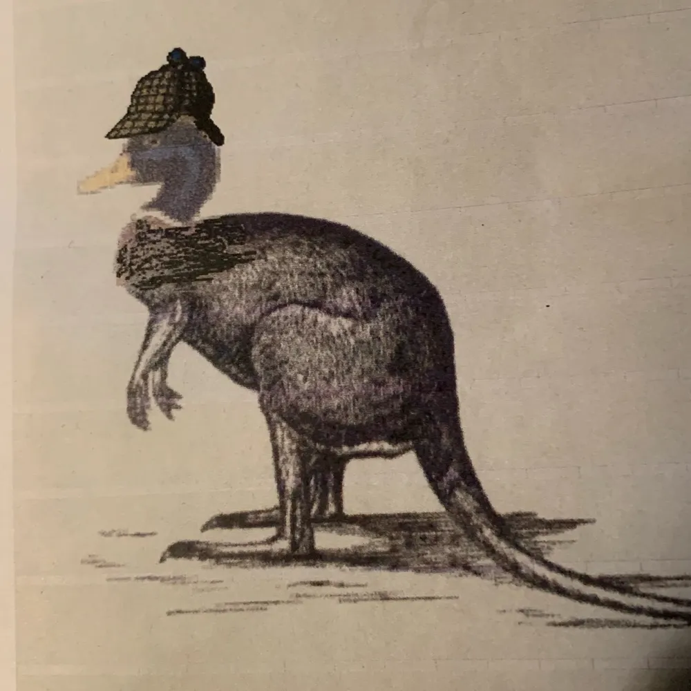 d-d-jones.bsky.social's profile picture