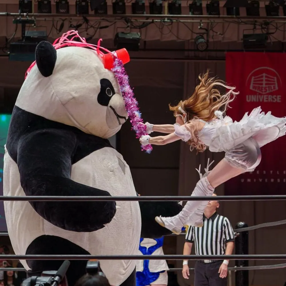 bigtimo.bsky.social's profile picture