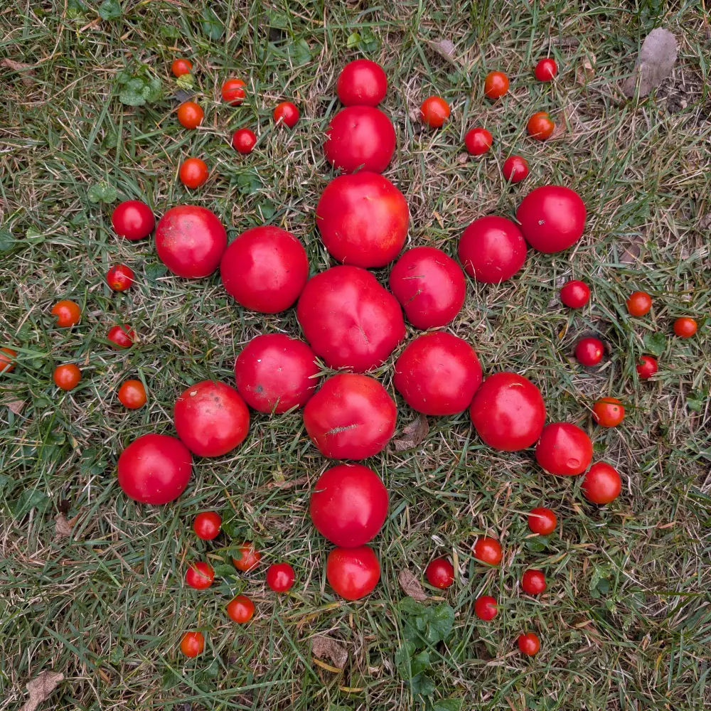 factorone.bsky.social's profile picture