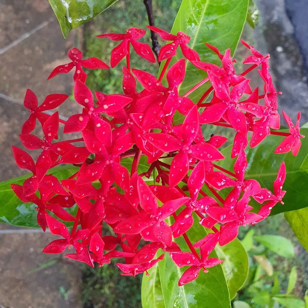 andrewtanyongyi.bsky.social's profile picture