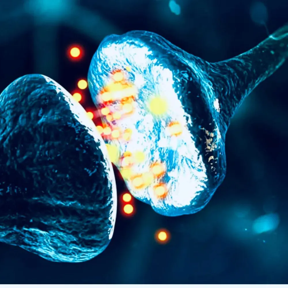 mayfieldpath.bsky.social's profile picture