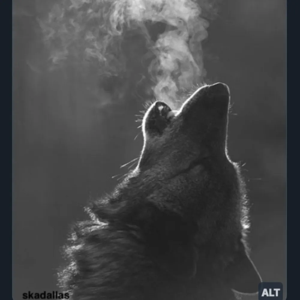 bess-123.bsky.social's profile picture